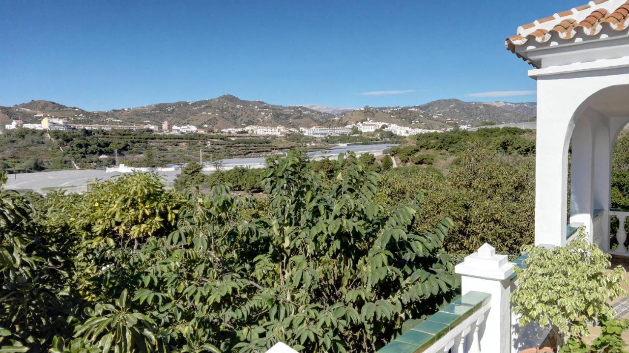 הוילה מאלגה Casa Paloma Blanca מראה חיצוני תמונה